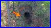 Man-Finds-Hidden-Doorway-On-His-Property-Goes-In-And-Realizes-He-S-Made-A-Huge-Mistake-01-ftqz
